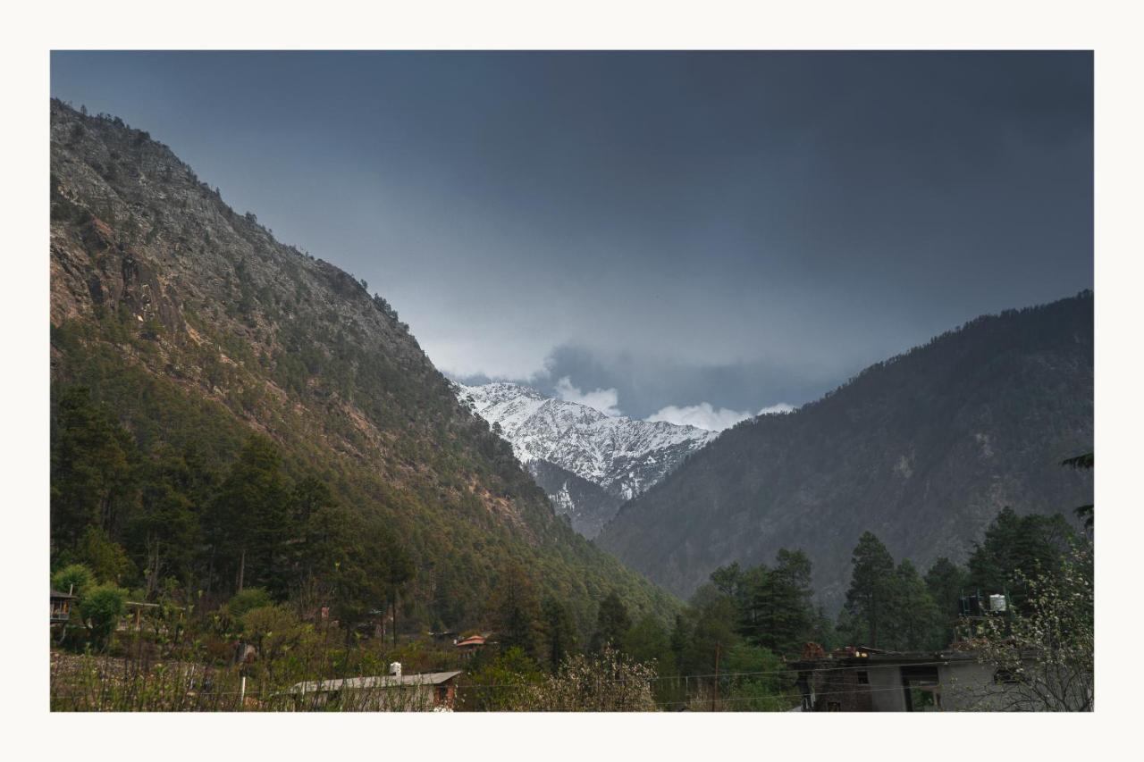 Perkup Hostel Kasol Dış mekan fotoğraf